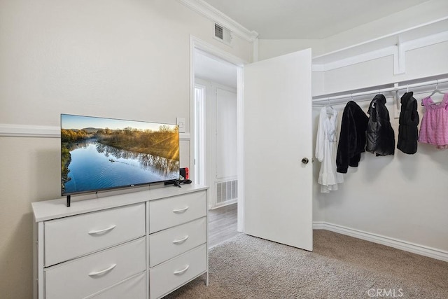 27721 Wakefield Rd, Castaic, CA 91384 - spacious closet with carpet