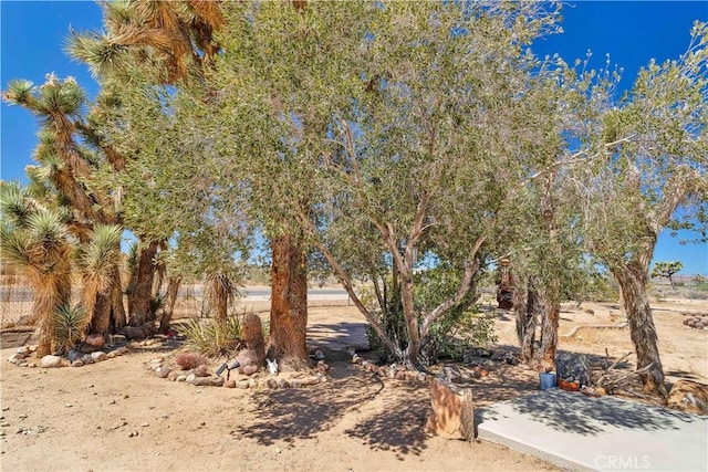 57620 Buena Vista Dr, Yucca Valley, CA 92284 - view of property hidden behind natural elements