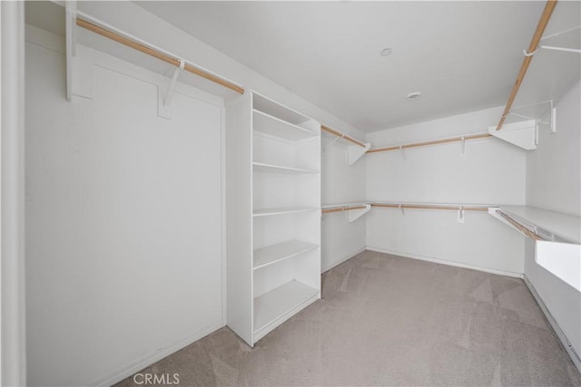 11836 Crossbill Way, Jurupa Valley, CA 91752 - walk in closet with carpet floors