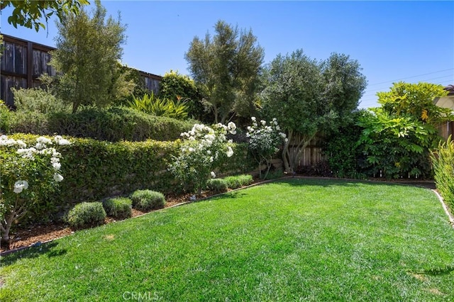 3207 Daisy Ln, San Luis Obispo, CA 93401 - view of yard