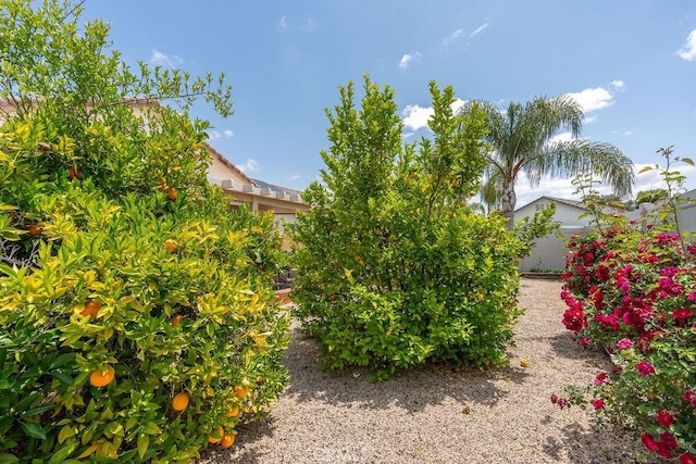 29557 Warmsprings Dr, Menifee, CA 92584 - view of yard