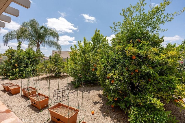 29557 Warmsprings Dr, Menifee, CA 92584 - view of yard with a vegetable garden