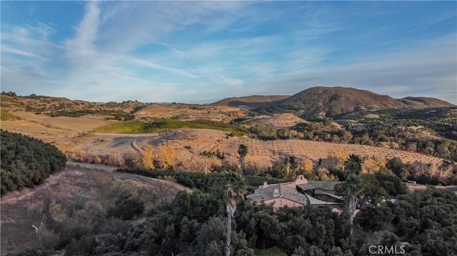 26525 Carancho Rd, Temecula, CA 92590 - mountain view