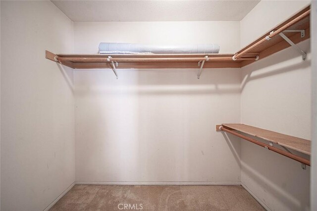 435 Orlena Ave, Long Beach, CA 90814 - walk in closet featuring light colored carpet