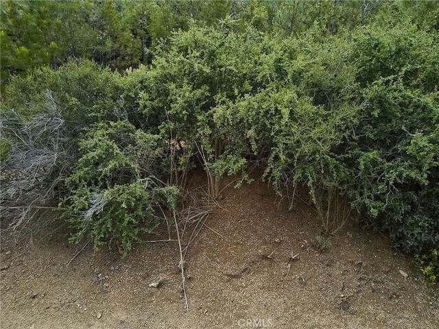 0 Maymens Flat Rd, Los Gatos, CA 95033 - photo 22