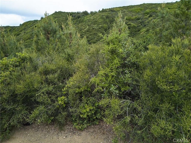0 Maymens Flat Rd, Los Gatos, CA 95033 - photo 19