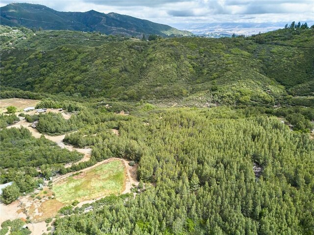 0 Maymens Flat Rd, Los Gatos, CA 95033 - photo 12
