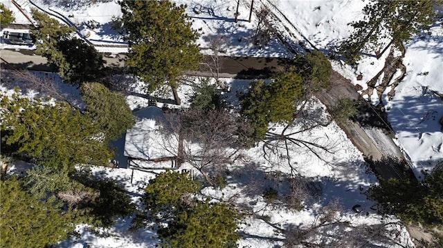 2484 Pine Dr, Running Springs, CA 92382 - view of snow covered exterior