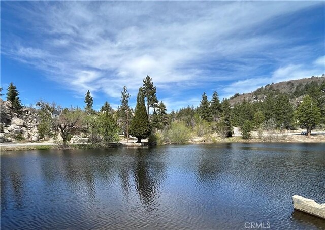2484 Pine Dr, Running Springs, CA 92382 - water view