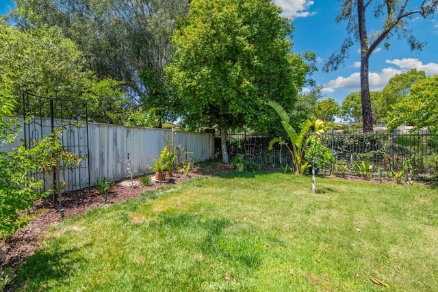 43650 Buckeye Rd, Temecula, CA 92592 - view of yard
