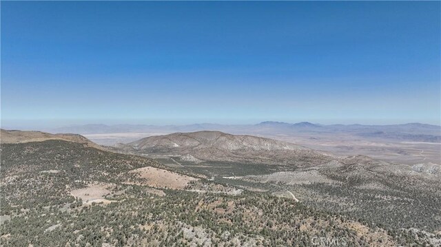 46076 Rustic Canyon Rd, Big Bear City, CA 92314 - view of mountain backdrop