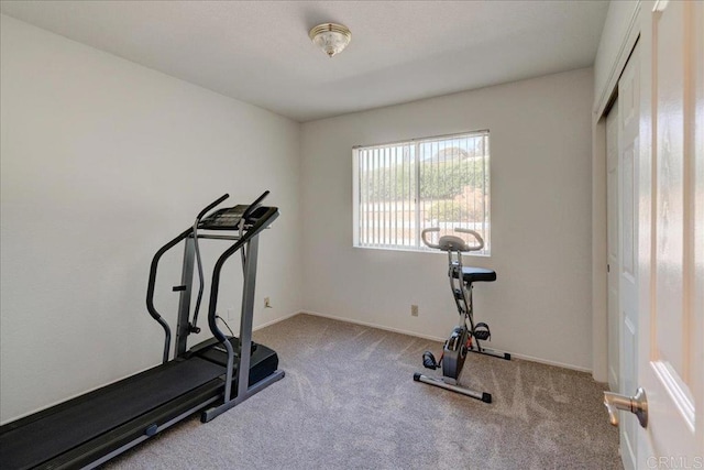 221 E Old Julian Hwy, Ramona, CA 92065 - workout area with carpet flooring and baseboards