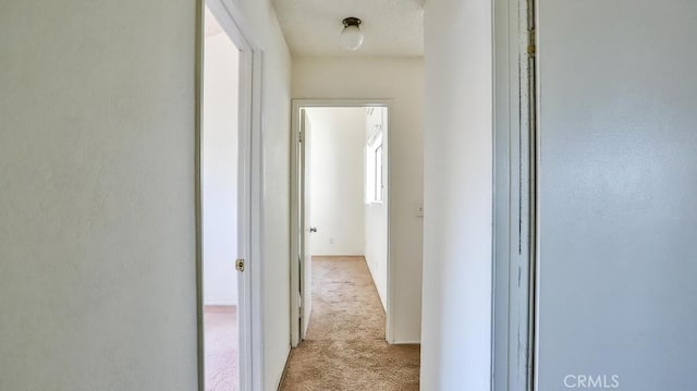 8471 Evergreen, Garden Grove, CA 92841 - hall featuring light colored carpet