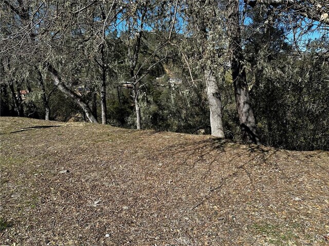 8209 Woody Point Ln, Bradley, CA 93426