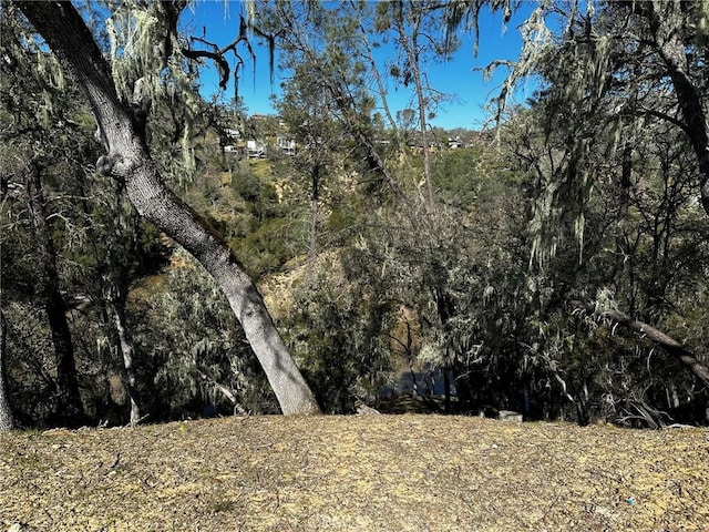 8209 Woody Point Ln, Bradley, CA 93426