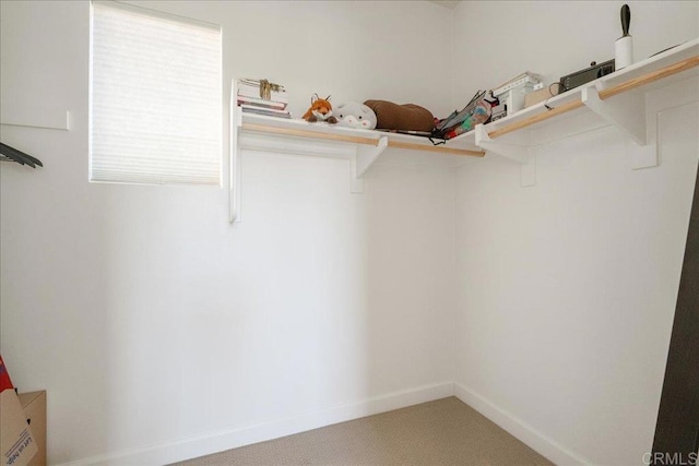4366 Pacifica Way Unit 5, Oceanside, CA 92056 - spacious closet featuring light carpet