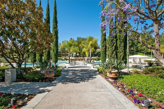 22581 Summerfield, Mission Viejo, CA 92692 - view of home's community featuring a swimming pool