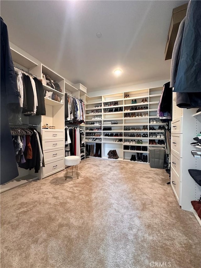18171 Hedgerow Way, Saugus, CA 91350 - spacious closet featuring carpet