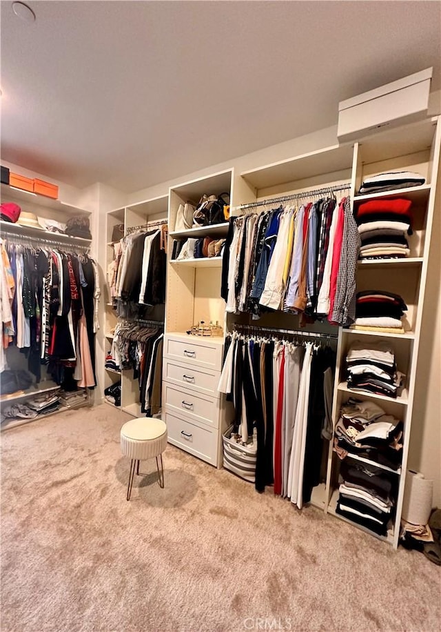 18171 Hedgerow Way, Saugus, CA 91350 - spacious closet featuring light carpet
