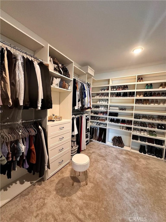 18171 Hedgerow Way, Saugus, CA 91350 - spacious closet with carpet flooring