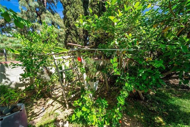 7035 Jon Allan Dr, North Hollywood, CA 91605 - view of local wilderness