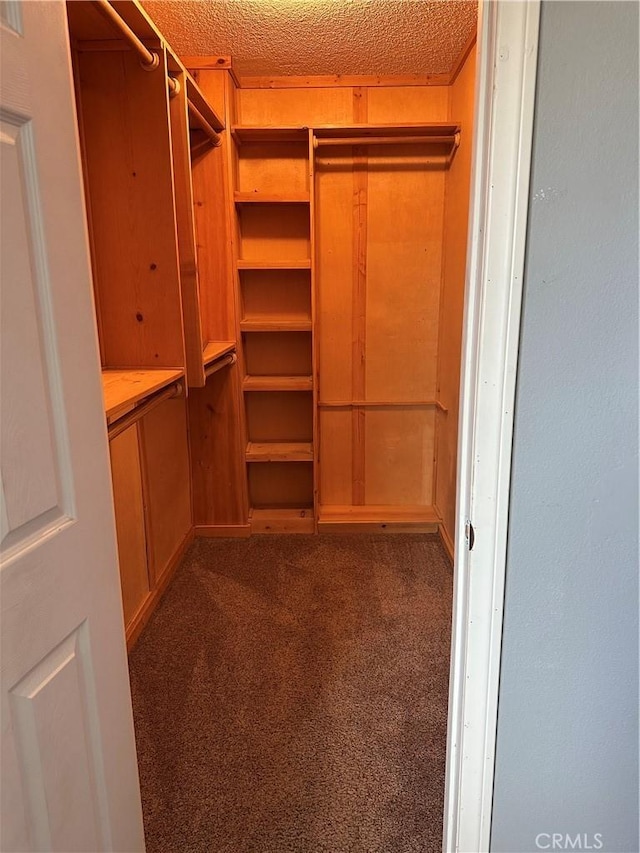 2378 Thisa Way, Hemet, CA 92544 - walk in closet with carpet floors