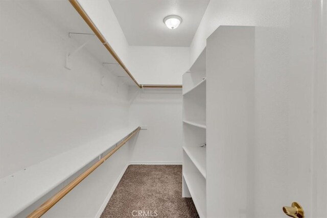 17322 Danbury Ave, Hesperia, CA 92345 - spacious closet with carpet