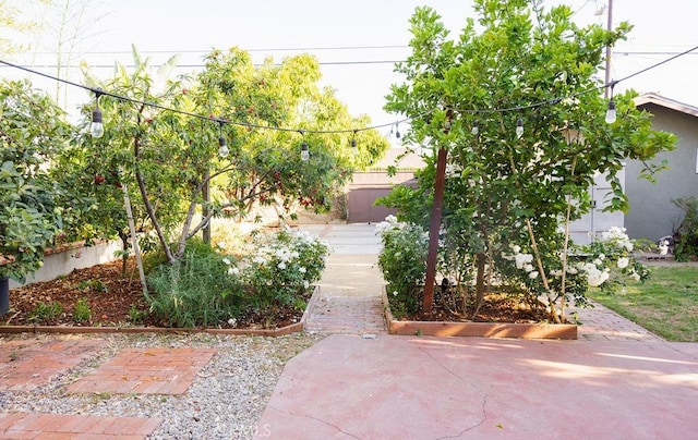 14816 Covello St, Van Nuys, CA 91405 - view of yard featuring a patio area