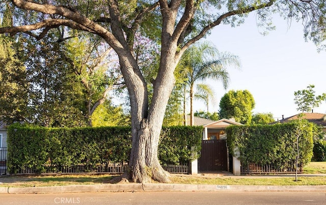 14816 Covello St, Van Nuys, CA 91405 - view of front of property