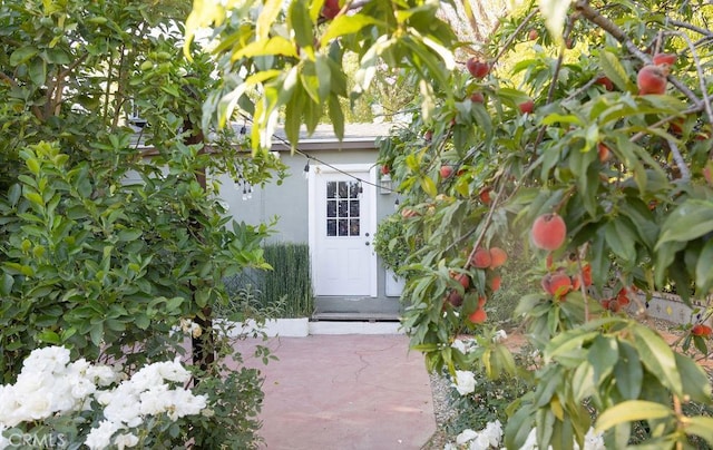 14816 Covello St, Van Nuys, CA 91405 - entrance to property with stucco siding