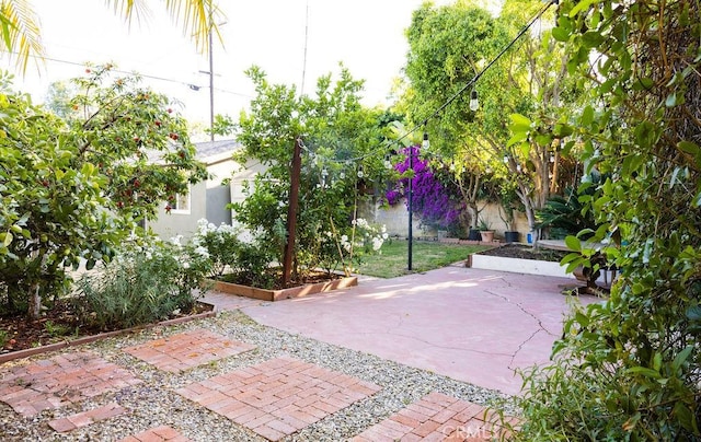 14816 Covello St, Van Nuys, CA 91405 - view of patio / terrace
