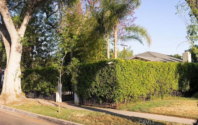 14816 Covello St, Van Nuys, CA 91405 - view of yard