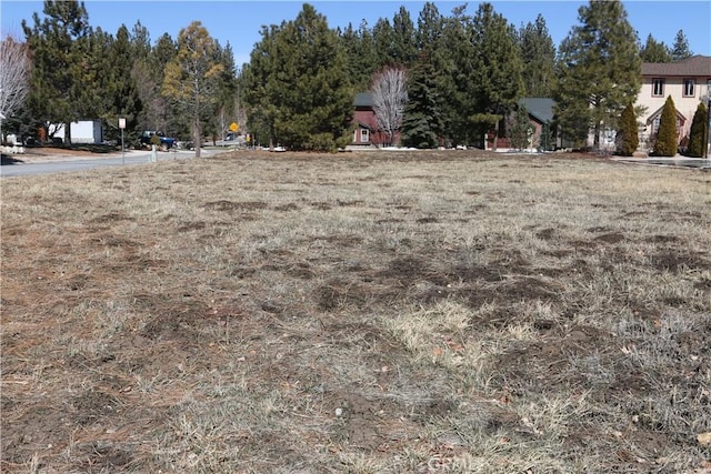 275 Meadow Cir N, Big Bear Lake, CA 92315 - photo 1