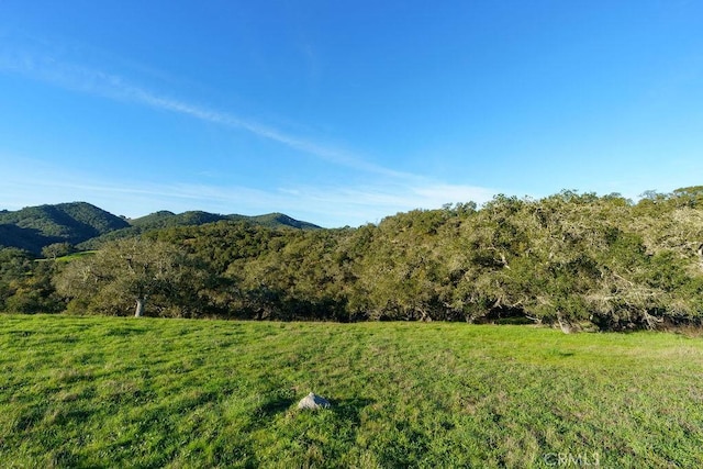 518 Bella Terra Ct, San Luis Obispo, CA 93401 - photo 15