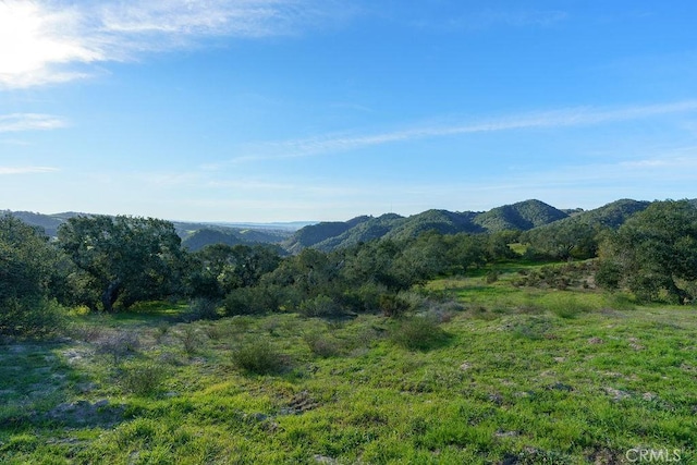 518 Bella Terra Ct, San Luis Obispo, CA 93401 - photo 5