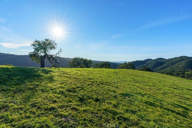 518 Bella Terra Ct, San Luis Obispo, CA 93401 - photo 12