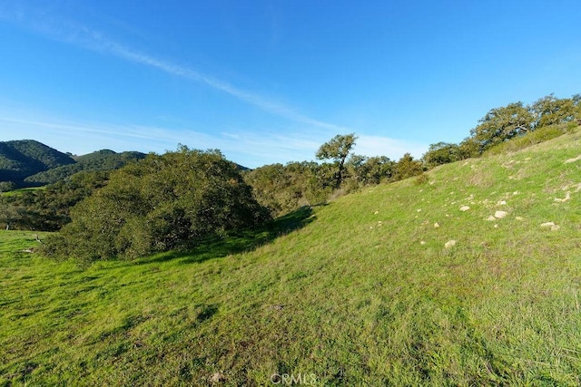 518 Bella Terra Ct, San Luis Obispo, CA 93401 - photo 11