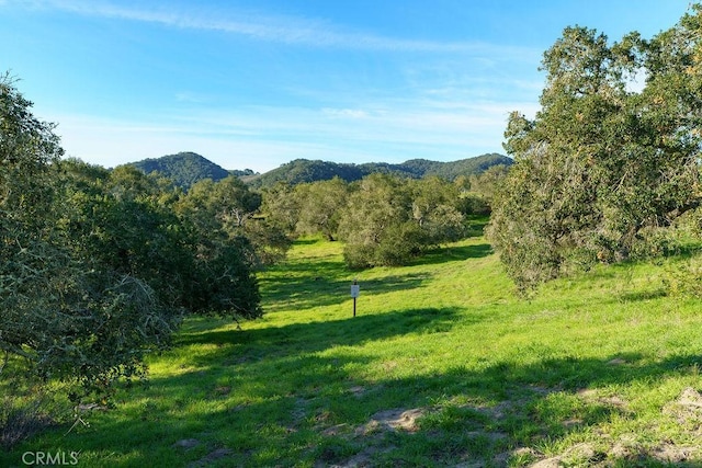 518 Bella Terra Ct, San Luis Obispo, CA 93401 - photo 4