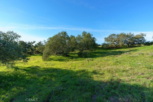 518 Bella Terra Ct, San Luis Obispo, CA 93401 - photo 7