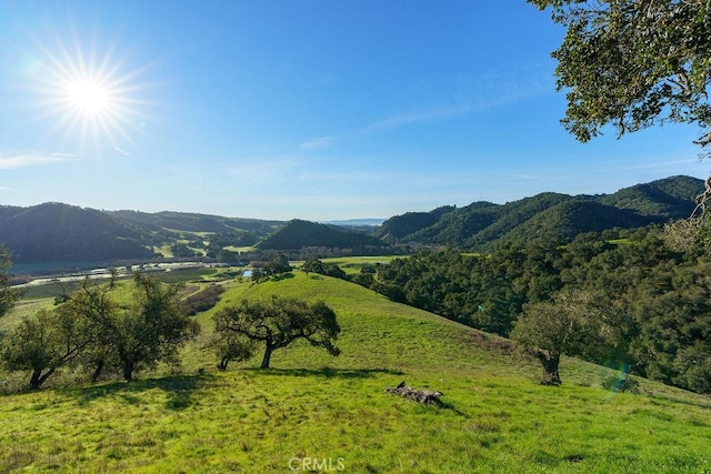 518 Bella Terra Ct, San Luis Obispo, CA 93401 - photo 19