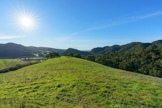 518 Bella Terra Ct, San Luis Obispo, CA 93401 - photo 21