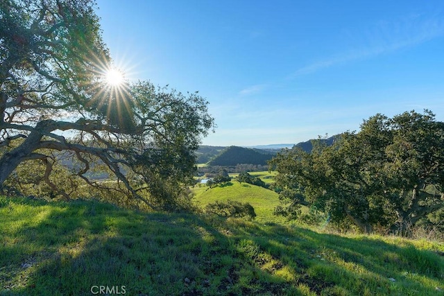 518 Bella Terra Ct, San Luis Obispo, CA 93401 - photo 18