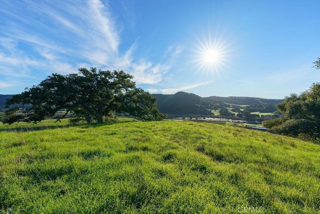 518 Bella Terra Ct, San Luis Obispo, CA 93401 - photo 2