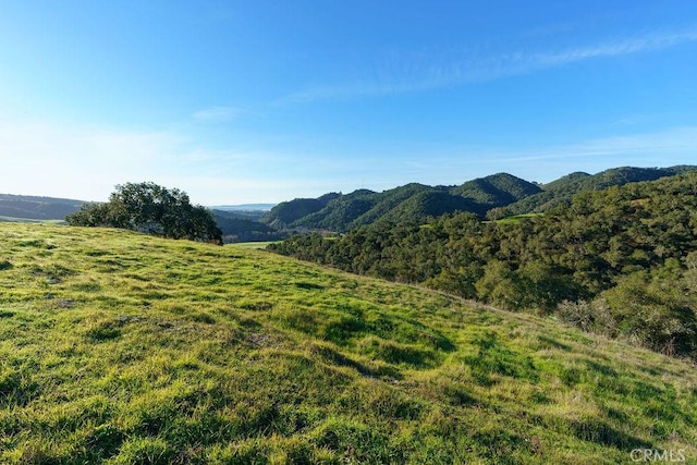 518 Bella Terra Ct, San Luis Obispo, CA 93401 - photo 16