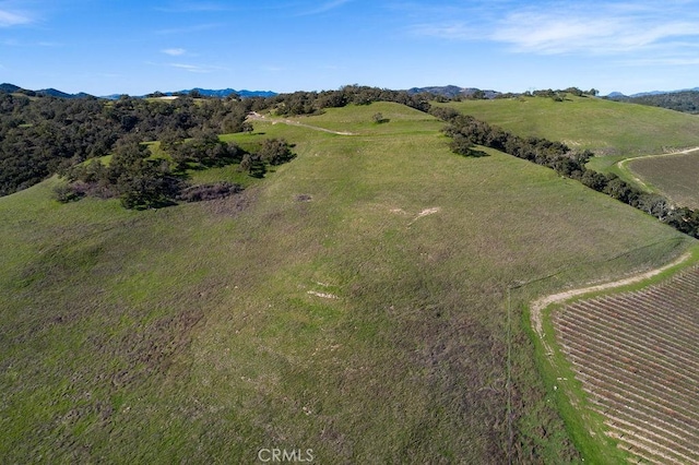 518 Bella Terra Ct, San Luis Obispo, CA 93401 - photo 25