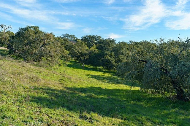 518 Bella Terra Ct, San Luis Obispo, CA 93401 - photo 8