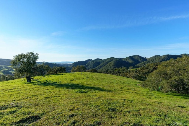 518 Bella Terra Ct, San Luis Obispo, CA 93401 - photo 10