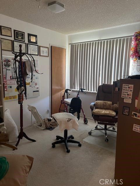 38833 Sage Tree St, Palmdale, CA 93551 - exercise area featuring carpet floors and a textured ceiling