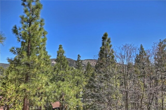 101 W Rainbow Blvd, Big Bear City, CA 92314 - photo 25