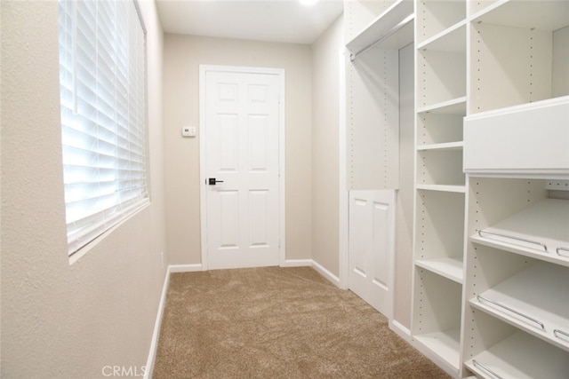 983 Venus Way, Crestline, CA 92325 - walk in closet with carpet flooring